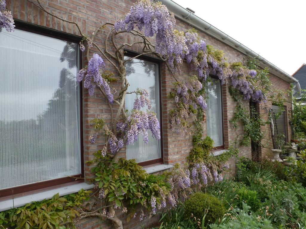 Guesthouse Kolibriehuys Nieuwkerke Exteriör bild