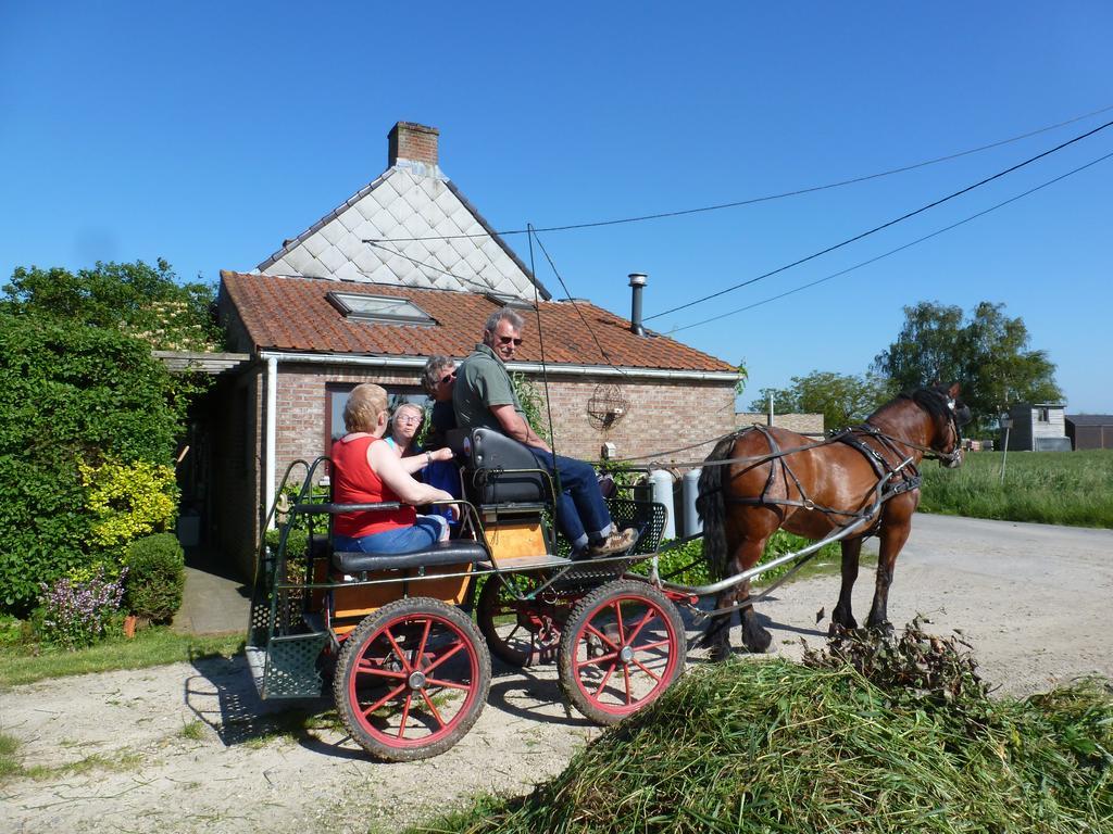 Guesthouse Kolibriehuys Nieuwkerke Exteriör bild