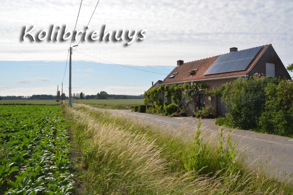 Guesthouse Kolibriehuys Nieuwkerke Exteriör bild